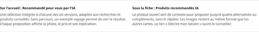 Exemple : visiteur intéressé par le voyage, avec fiches consultées, recherches et recommandations marquées « Idéal » et « Alternative »